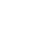 Detailing Guys