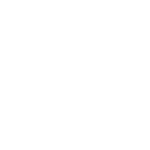 Orca